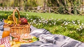 Tips for having a safe picnic that complies with social distancing in ...