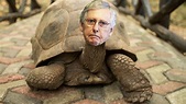 Kentuckians Have Finally Had About Enough of Mitch McConnell
