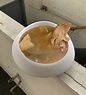 Andrew Yang Chicken Soup Jschlatt - Slime Imps Tumblr Posts Tumbral Com ...