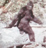 Bigfoot 'photographed in Virginia by man who saw it 25 years ago ...