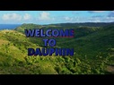 Dauphin Saint Lucia by drone in 4k - YouTube