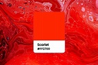 All You Want to Know About Scarlet Color: Meaning, Combinations and ...