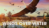Wings Over Water OFFICIAL TRAILER - YouTube
