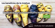Mashua | Beneficios y propiedades -> Un tesoro andino – Blog Vive Sano