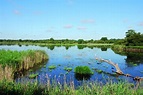 Parc Naturel Régional de la Brenne - Brenne Découverte (36)