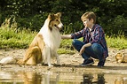 Imagini Lassie Come Home (2020) - Imagini Lassie se întoarce acasă ...
