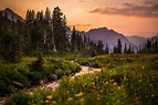 Crazy Mountains Sunset, Montana [OC][4000x2667][David Rabenberg ...