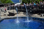 Vancouver Aquarium a Delight for Adults and Kids : Budget Adventure ...