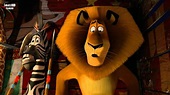 Madagascar 3: Los Fugitivos - Trailer 2 Español Latino - FULL HD - YouTube