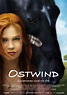 Film » Ostwind | Deutsche Filmbewertung und Medienbewertung FBW