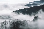 Foggy Mountain Forest Wallpapers - Top Free Foggy Mountain Forest ...