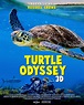 Turtle Odyssey | About the Film