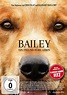 Bailey – Ein Freund fürs Leben [Gewinnspiel] | Film-Rezensionen.de