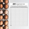 Yearly Egg Production Tracker | Meyer Hatchery Blog