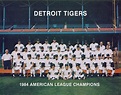 Detroit Tigers 1984 American League Champions. | Detroit tigers, Tiger ...