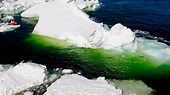 El extraño fenómeno que produce hielo verde en la Antártida - INVDES