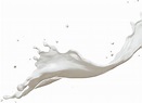 Milk Splash PNG Images Transparent Background | PNG Play