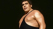 Andre The Giant's unique life story comes to Sky Documentaries | News ...