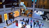 Guía para Visitantes: Museo de Ciencias Naturales de Houston | e ...