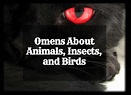 Animal, Insect, and Bird Omens and Their Meanings - Exemplore