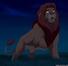 Simba in the night - The Lion King Photo (36965083) - Fanpop