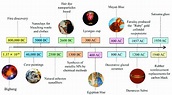 Ancient Civilisations Timeline | ubicaciondepersonas.cdmx.gob.mx