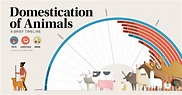 Timeline: The Domestication of Animals | usxeuro.com