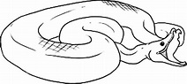 Dibujos para colorear: Anaconda imprimible, gratis, para los niños y ...