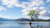 Que ver en Nueva Zelanda - los 10 imprescindibles - El Viajero Experto