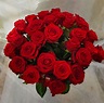 Rote Rosen-pur – Blumen Hoppe