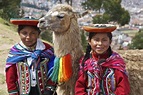 Introduction to Quechua: Language and Culture of the Andes | David ...