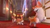 The Queen's Corgi review - Movies For Kids