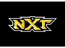 WWE NXT LOGO by Alphabet Agency on Dribbble