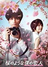 Efímera como la Sakura, una película japonesa que te hará llorar