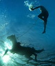 Stunning underwater photos show horses stretching their legs | Daily ...