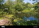 Kingsbury water park fotografías e imágenes de alta resolución - Alamy