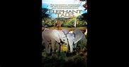 Elephant Tales on iTunes