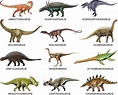 nombres de dinosaurios - Buscar con Google | Prehistoric animals ...