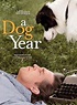 A Dog Year - Película 2009 - SensaCine.com