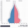 População: Venezuela 2022 - PopulationPyramid.net