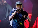 Del The Funky Homosapien Hospitalized After Falling Off Stage At ...