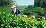 Cách để Nông sản Việt Nam được ưa chuộng trên thế giới