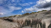 Weisse Düne auf Norderney... Foto & Bild | landschaft, meer & strand ...