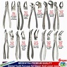 Dental Tooth Forceps Surgical Extraction Forceps for Upper Lower Molars ...