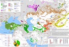 VERY Detailed Map Of Turkic Languages (9129 x 6276) : r/MapPorn