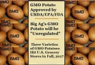 GMO Potatoes Coming Fall 2017 – Chemical Free Life