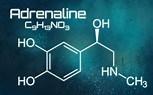 Adrenalin – das Action-Hormon - wissenschaft.de