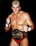 Wrestling Stars, Wrestling Wwe, Dustin Rhodes, World Championship ...