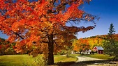 Los deslumbrantes colores de otoño tiñen Vermont