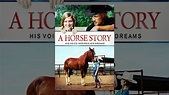 A Horse Story - YouTube